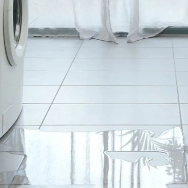 Appliance Leak Cleanup in DeSoto County, FL