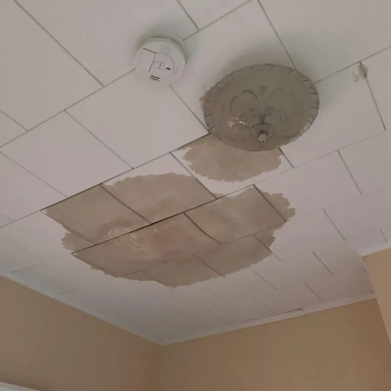 Ceiling Water Damage Repair in DeSoto County, FL