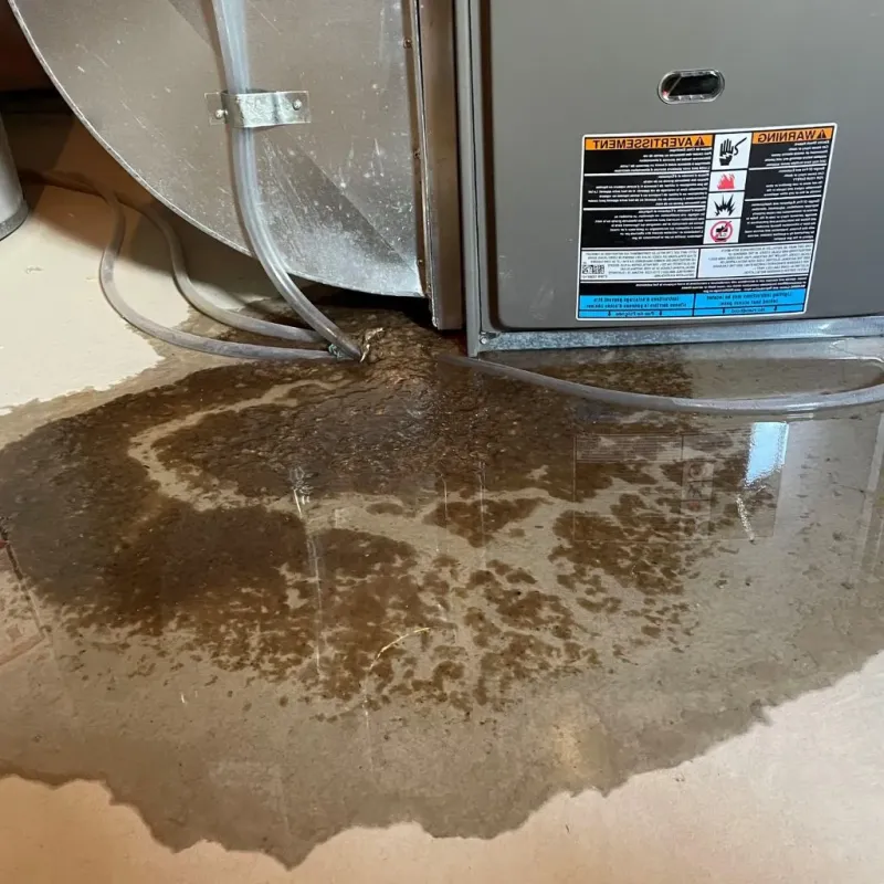 Pipe Burst and Leak Restoration in DeSoto County, FL